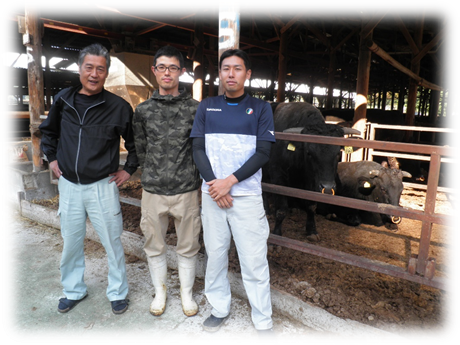 神戸ビーフで出荷もしている高品質の黒毛和牛の生産者山崎町葛根谷口牧場で働く3人の男性の写真