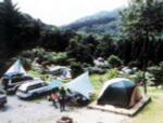 複数のテントがはられている山崎アウトドアランドの写真