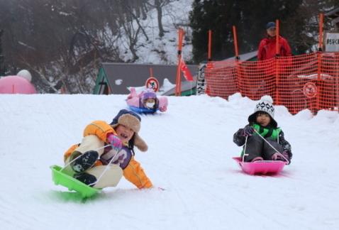 雪景色の中そり滑りを楽しむ児童達の写真