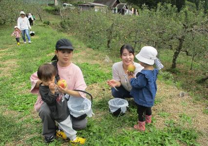 2組の親子が収穫したリンゴを味わっている写真