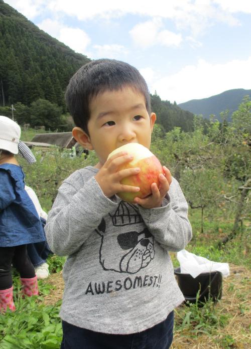 手にもった顔くらいの大きさのリンゴを児童がほおばっている写真