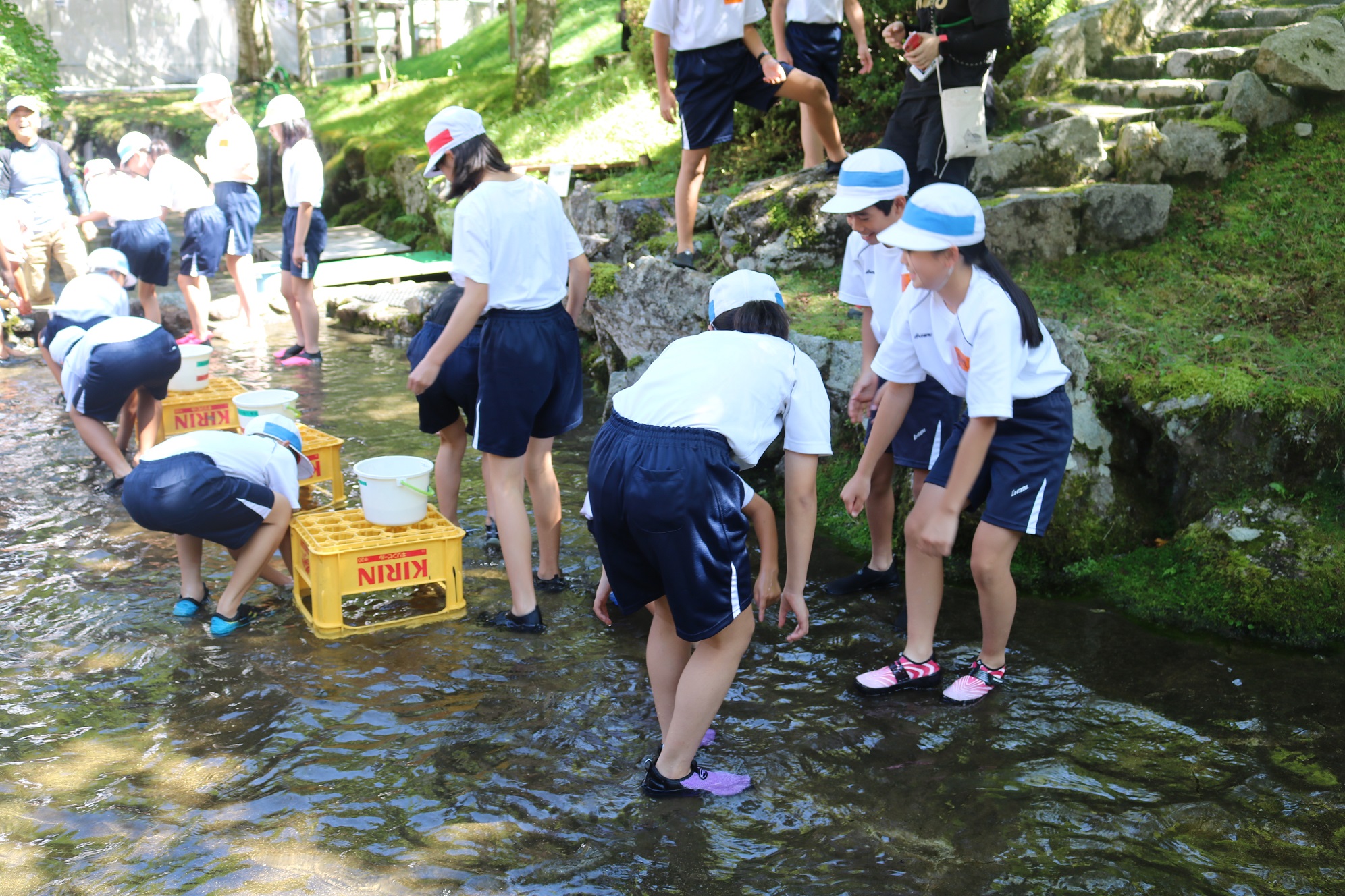 児童らが釣り堀の中に入って、水の中を泳ぐヒラベを両手で掴もうとしたり、動きを観察したりしている写真