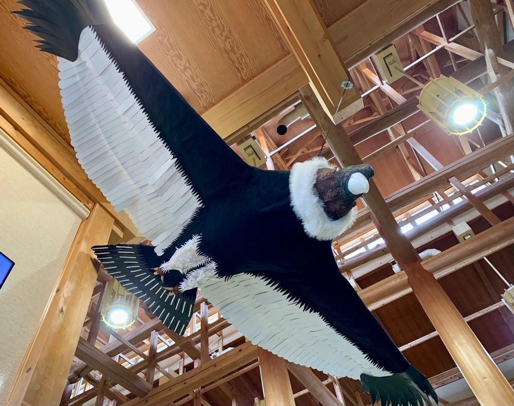 はがてらす図書室3