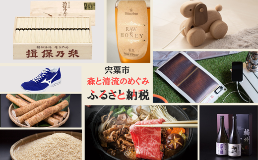 盛りと清流のめぐみ ふるさと納税 市公式サイトふるさと納税申込みページへリンク