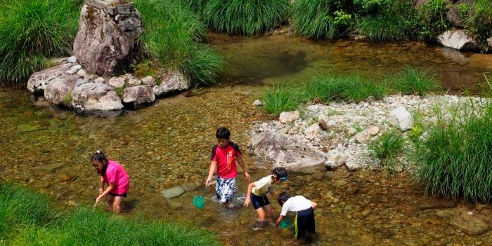 子どもたちが川遊びをしている写真