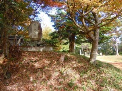 紅葉で色づいた木立が並ぶ篠ノ丸城址の写真