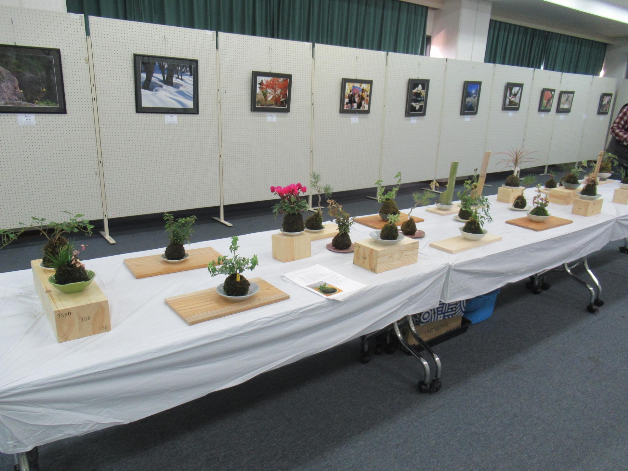 菜園クラブの作品展示