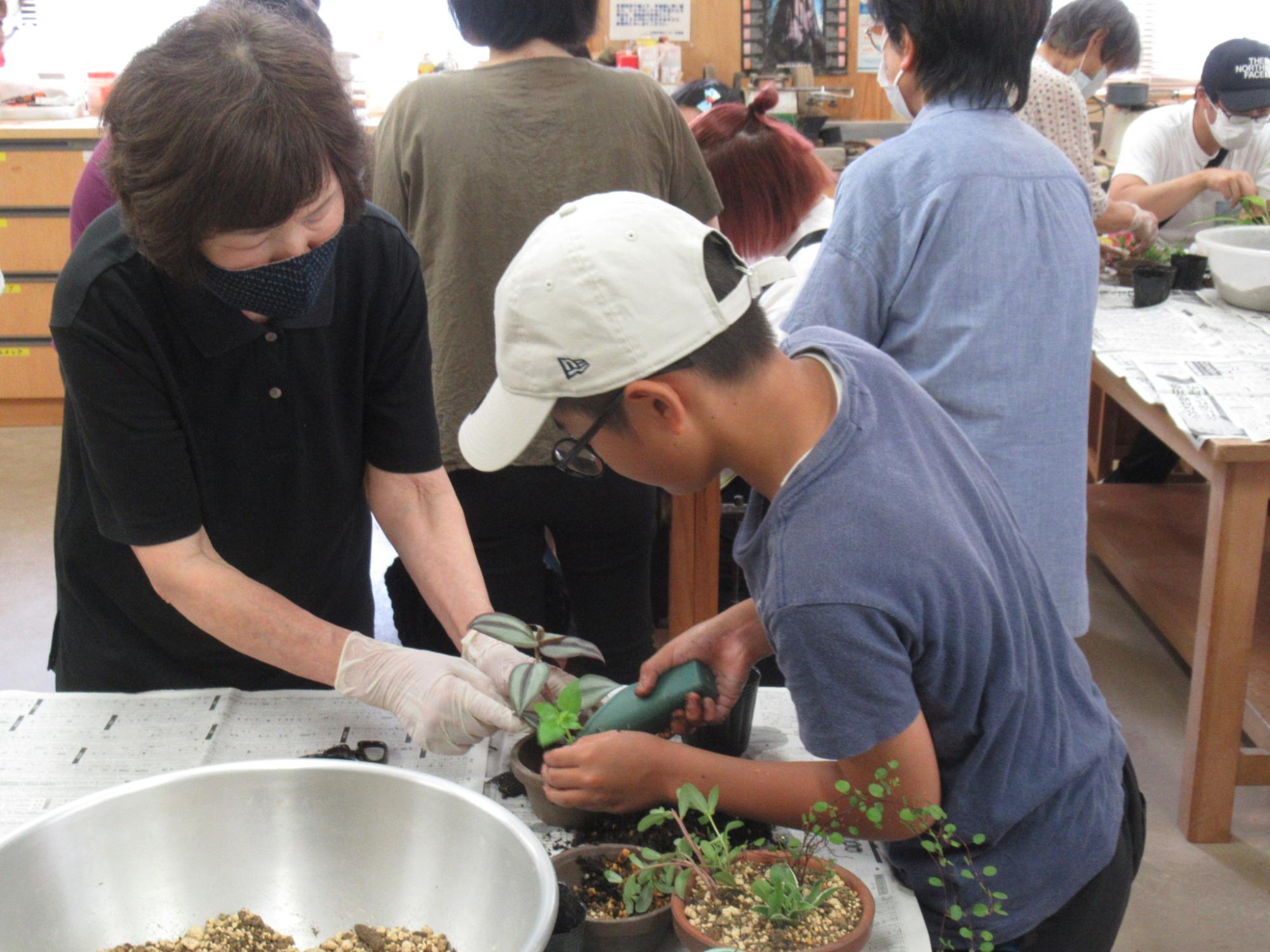 自分で選んだ観葉植物を、鉢に植えかえていく参加者