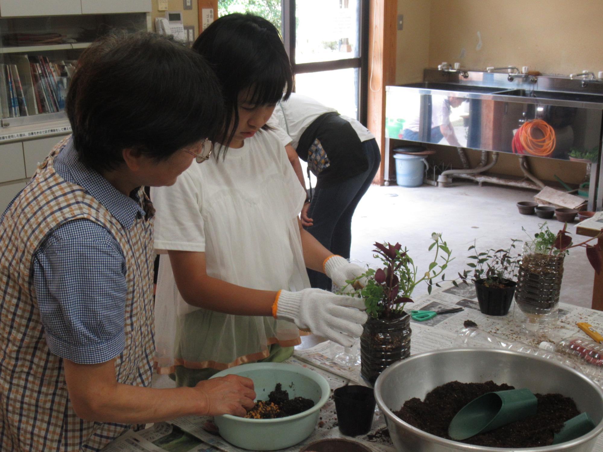 自分で選んだ観葉植物を、鉢に植えかえていく参加者