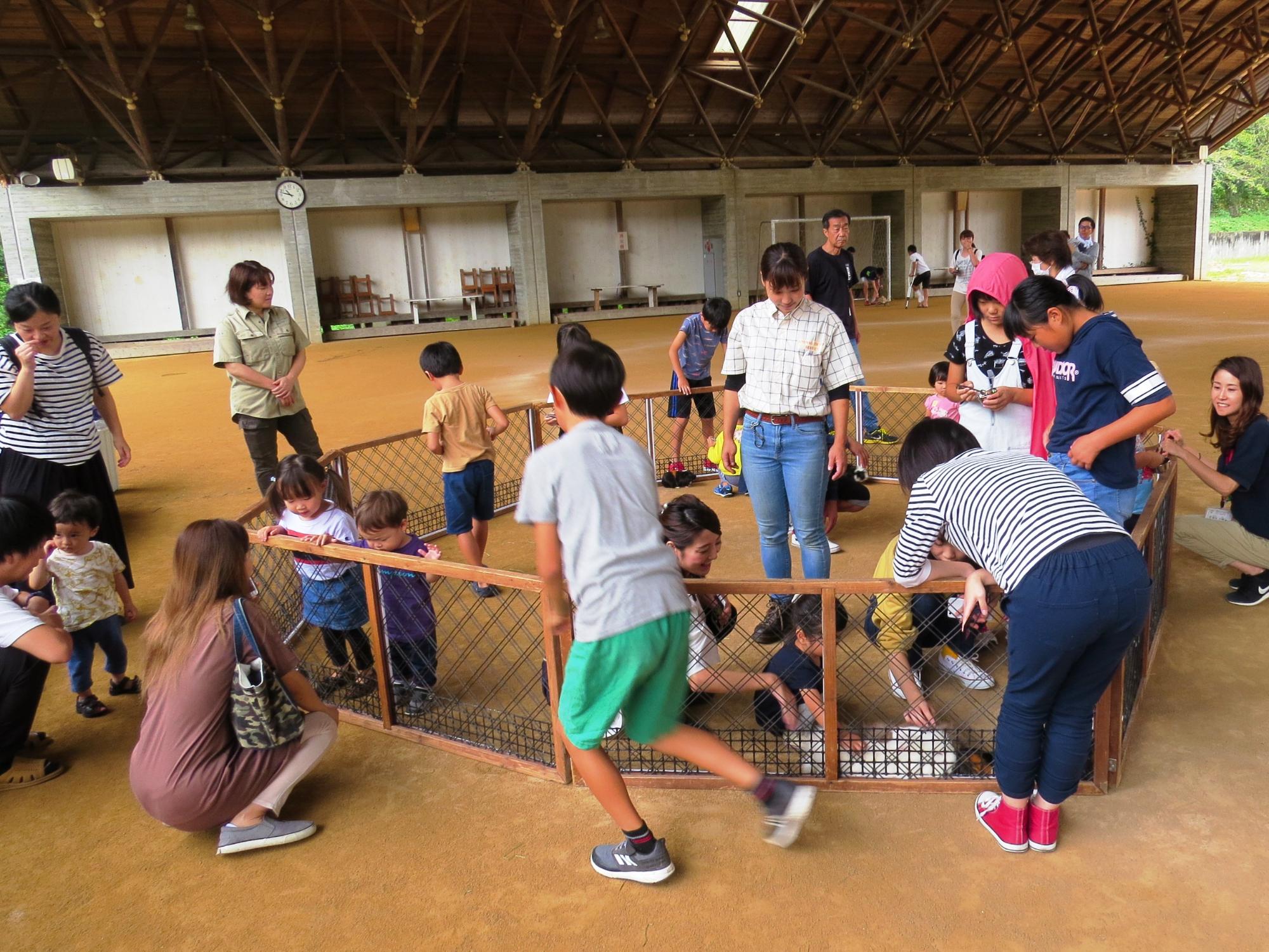 ふれあい動物園で子どもらがウサギやカメとふれあっている写真