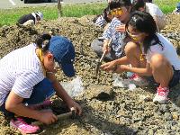 土曜なんでも体験隊化石の土の山で、女の子たちが金槌で化石発掘体験している写真