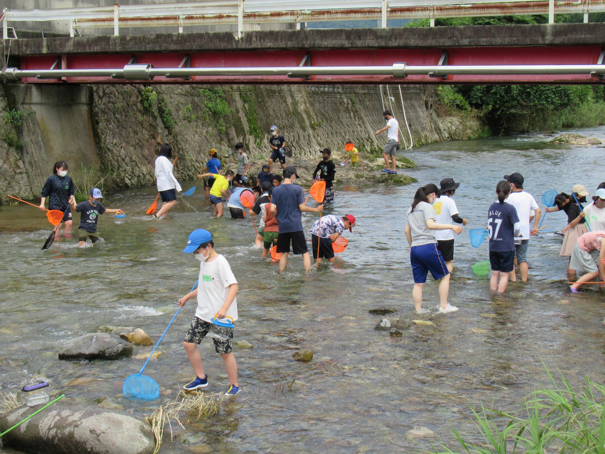 伊沢川で生き物さがしを楽しむ子どもとサポーターの写真