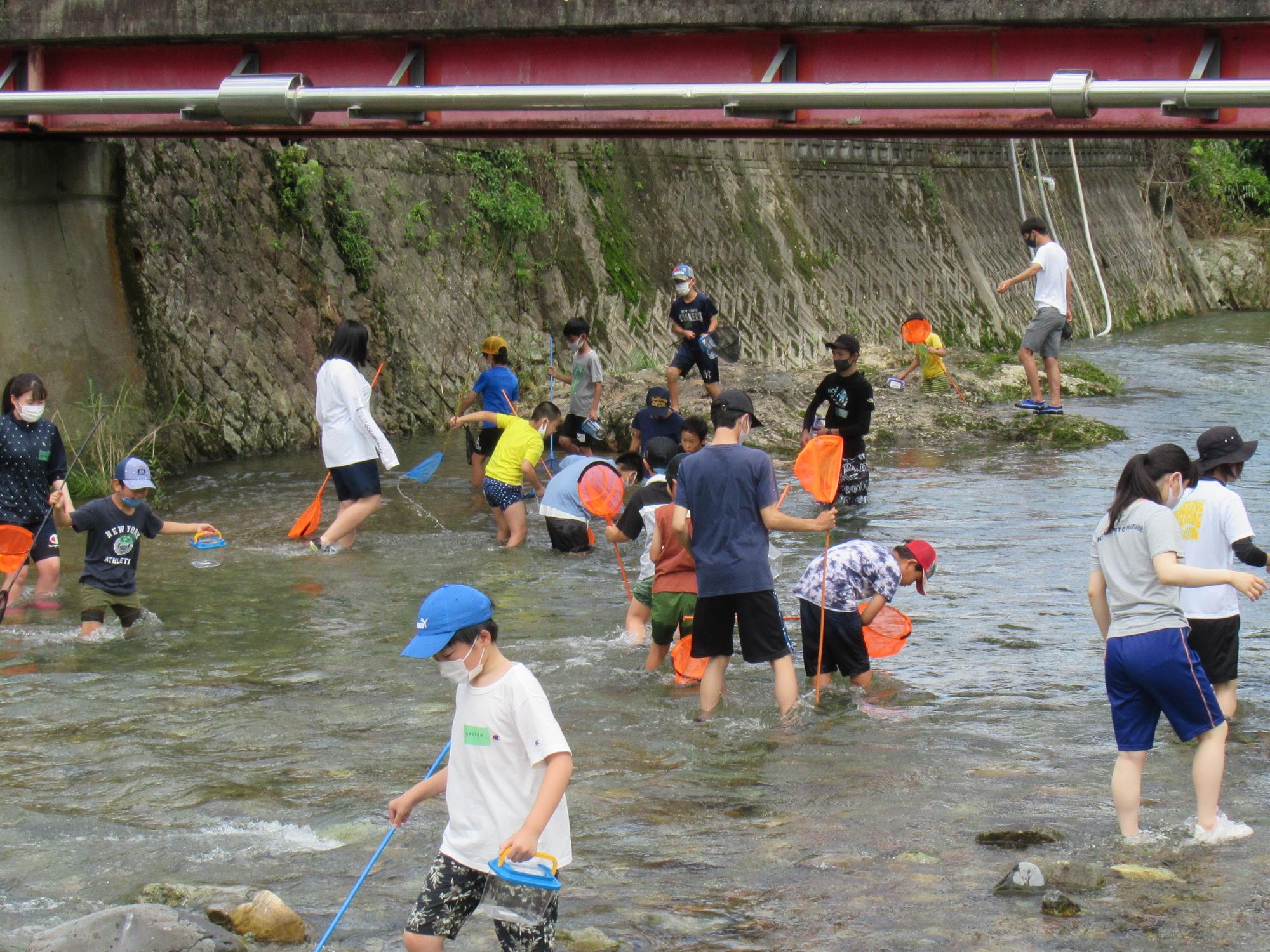 伊沢川の中で生き物を探す子どもたちの写真