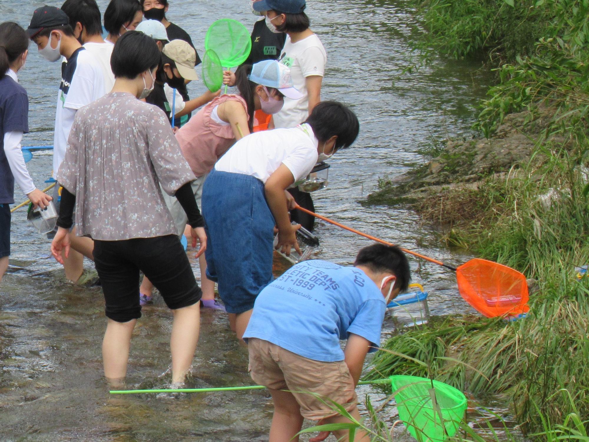 伊沢川で夢中で生き物を探す子どもたちの写真