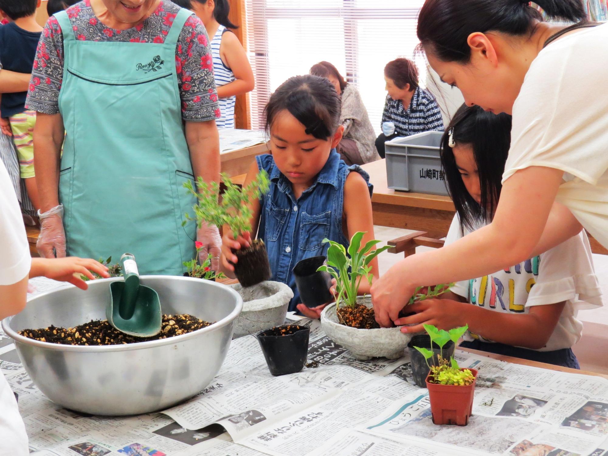 夏休みワクワク講座寄せ植え体験の写真