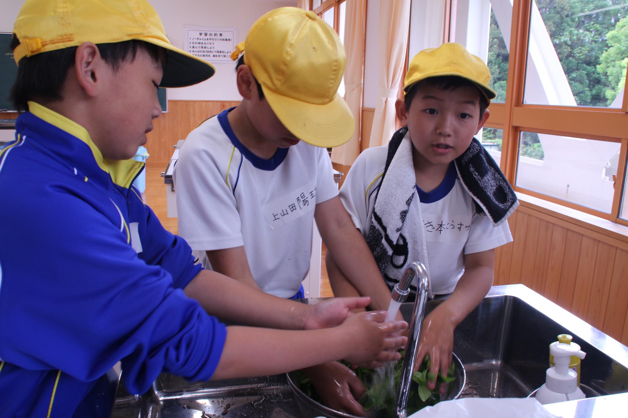 3人の小学生が紅茶用の茶葉を水洗いしている写真
