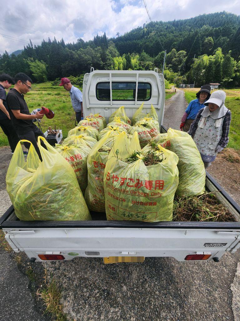駆除したフランスギクをゴミ袋に詰め、積載する軽トラの荷台が満杯になっている写真