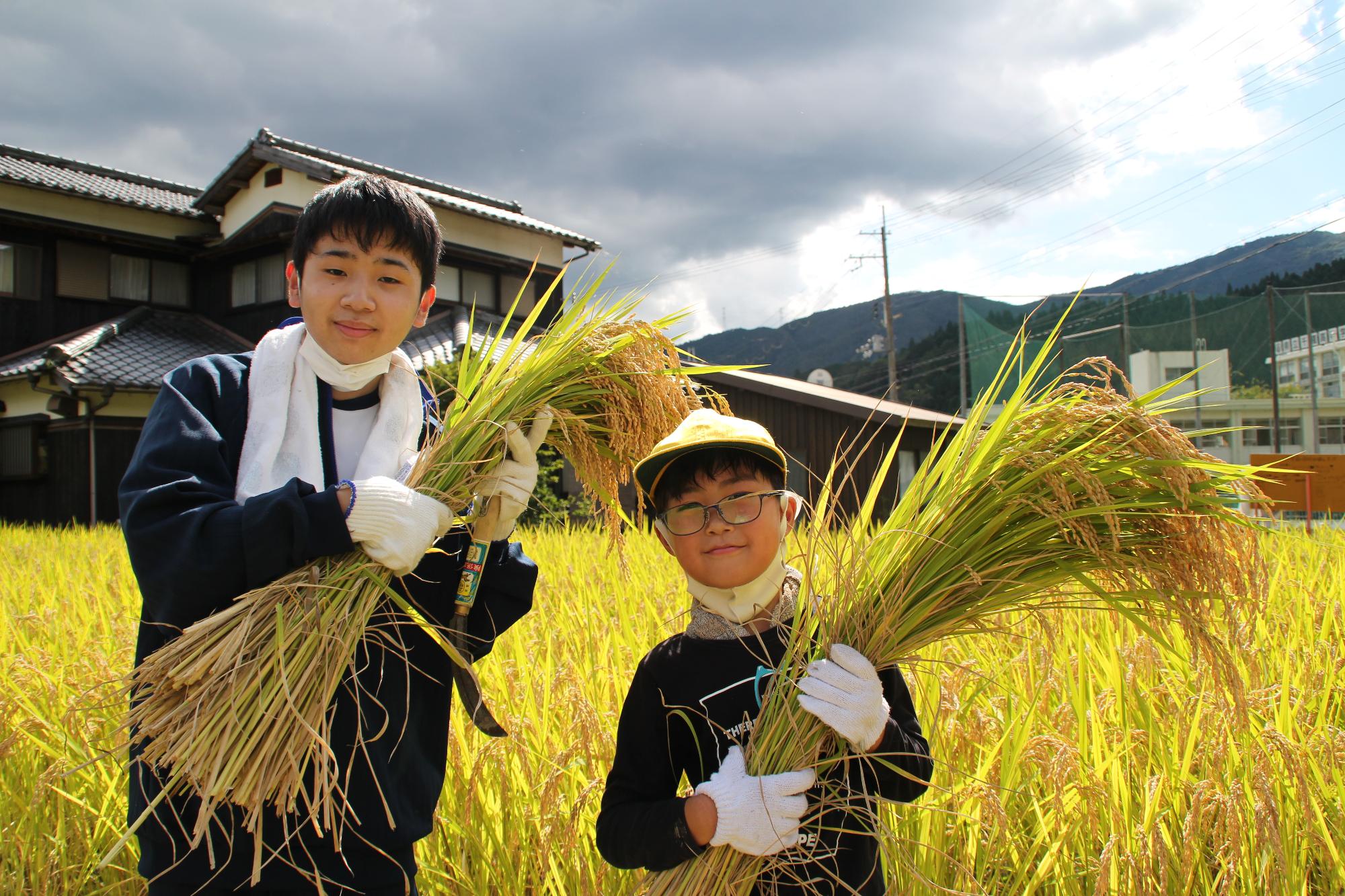 刈った稲の束を抱えている高校生と小学生の写真