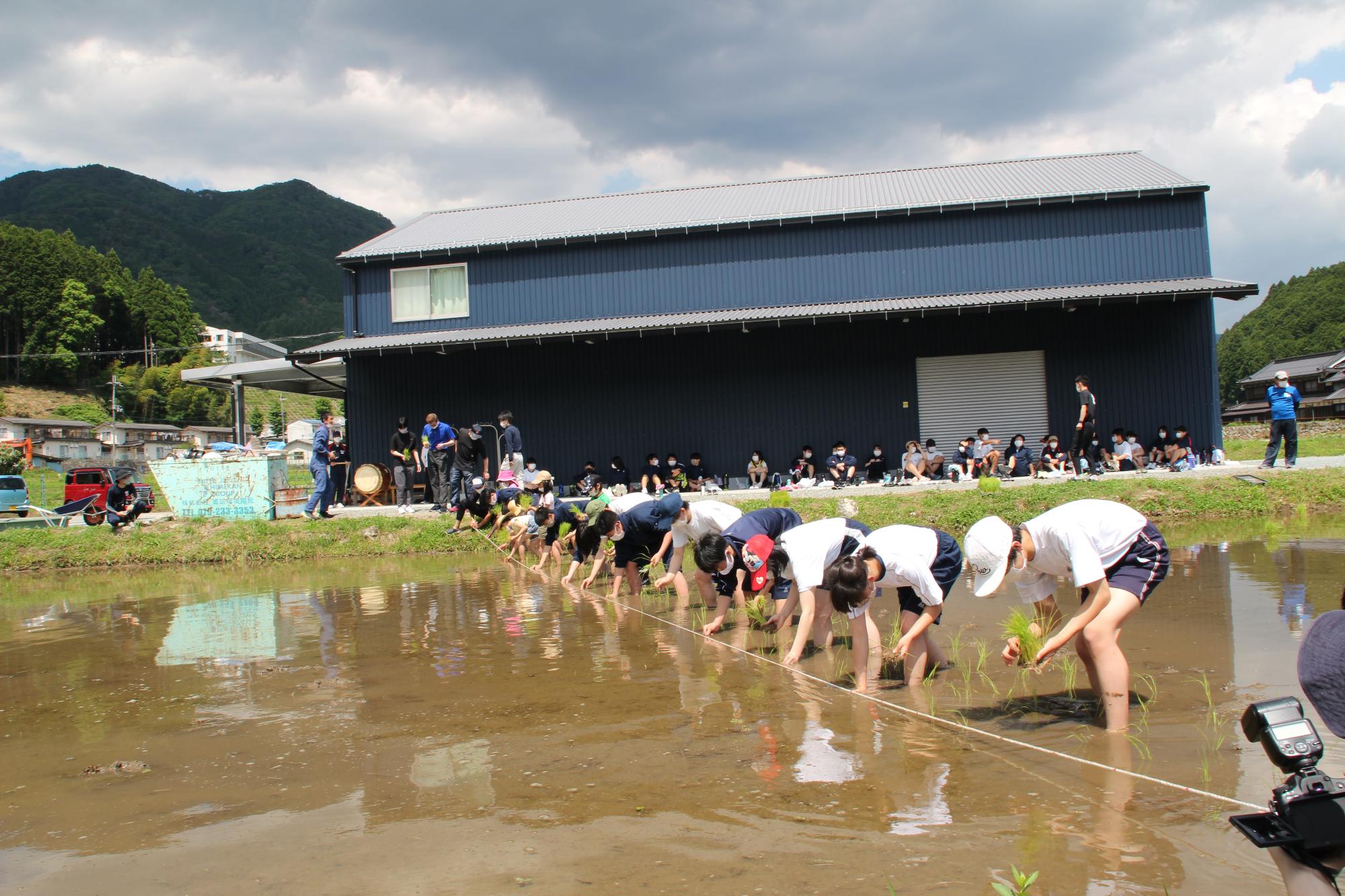 小中学生と高校生が交互に横一列に並び、田んぼに稲の苗を手で植えている写真
