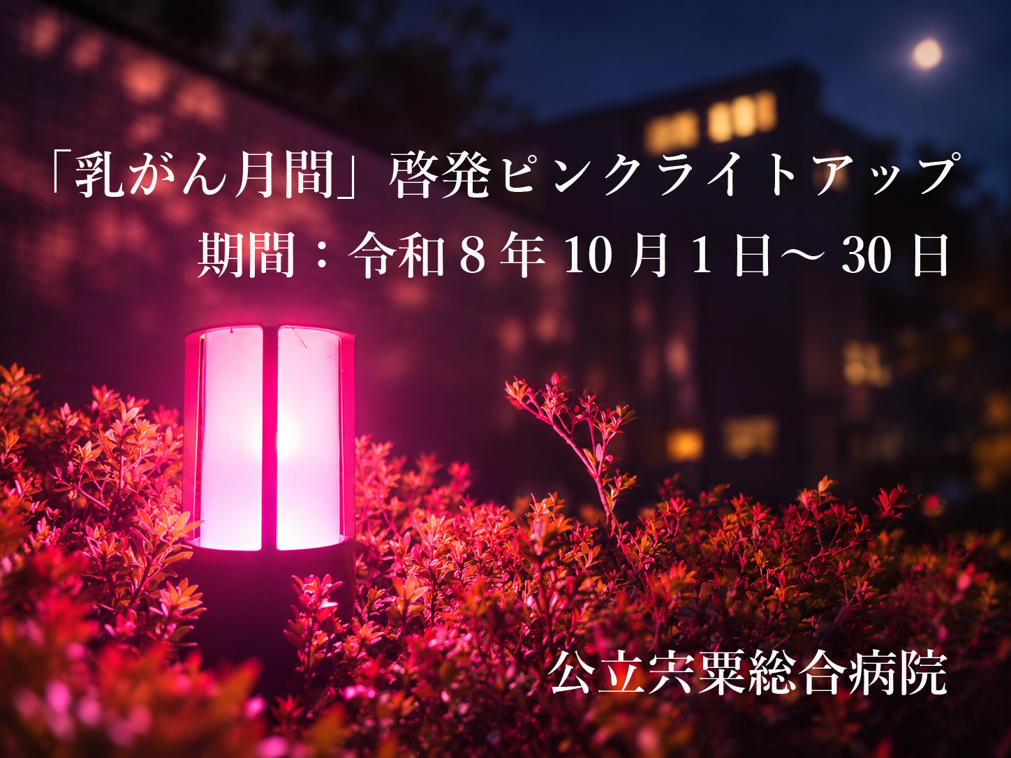 ライトアップの様子