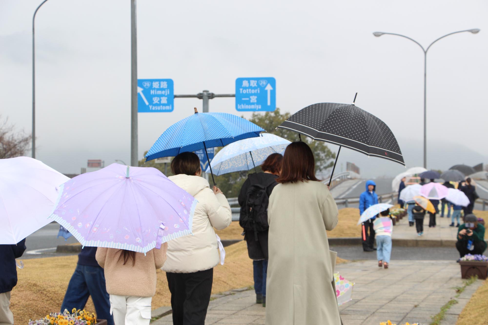 小雨の降る中、傘をさしてシソラミチを見学する参加者らの写真