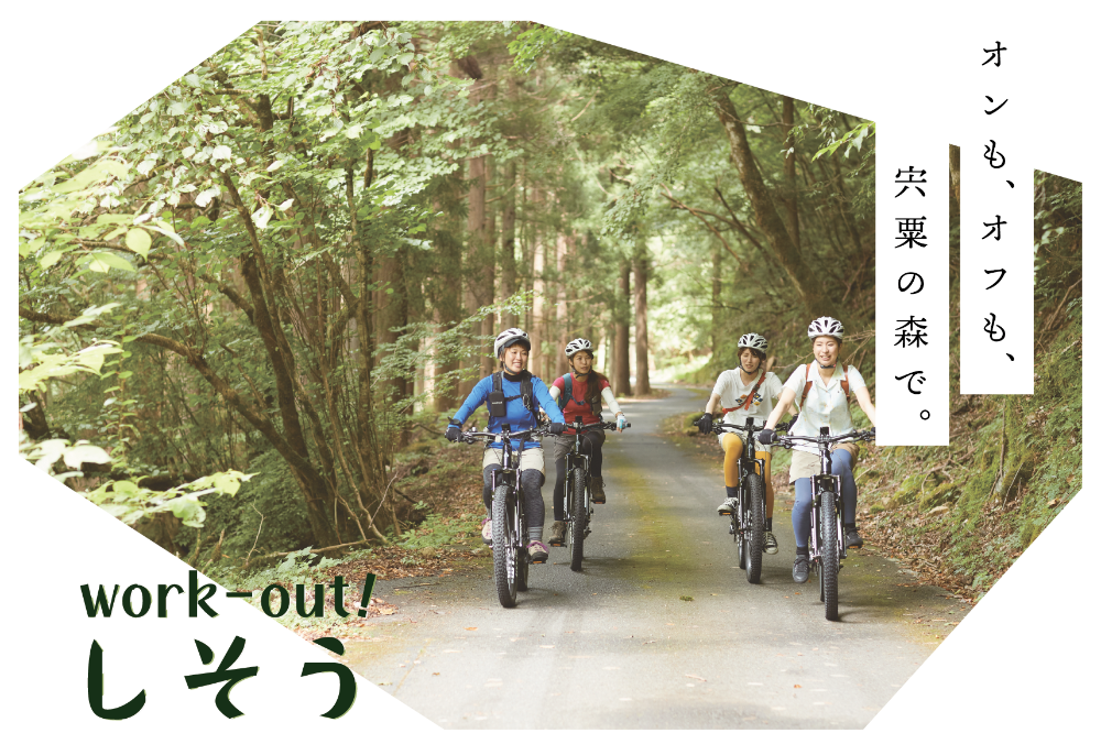 自転車に乗って森林を駆け抜ける女性らの写真