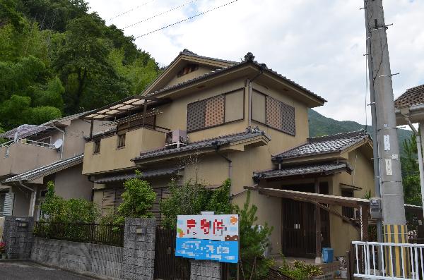 全景