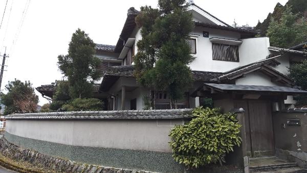 全景