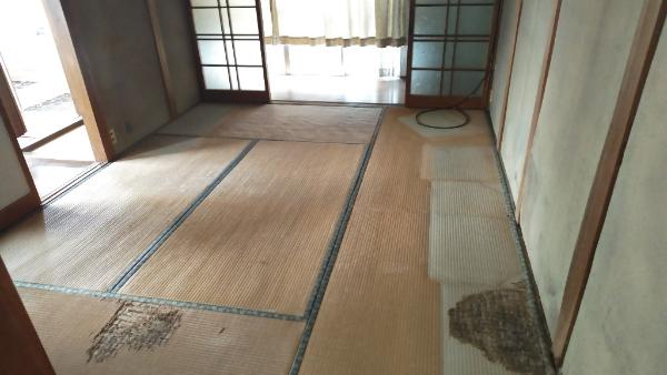 detached 山崎町今宿