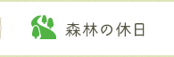 森林の休日